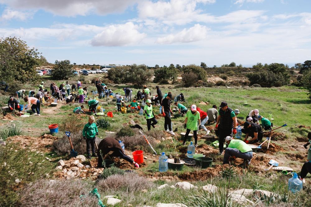 ECOmbare tree planting event
