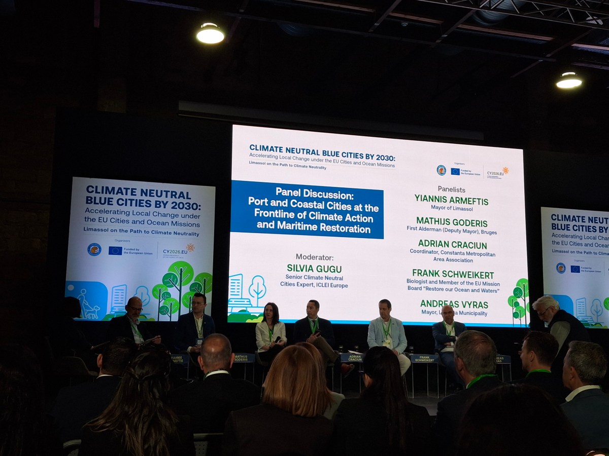 Climate Neutral Blue Cities: From Vision to&nbsp;Action