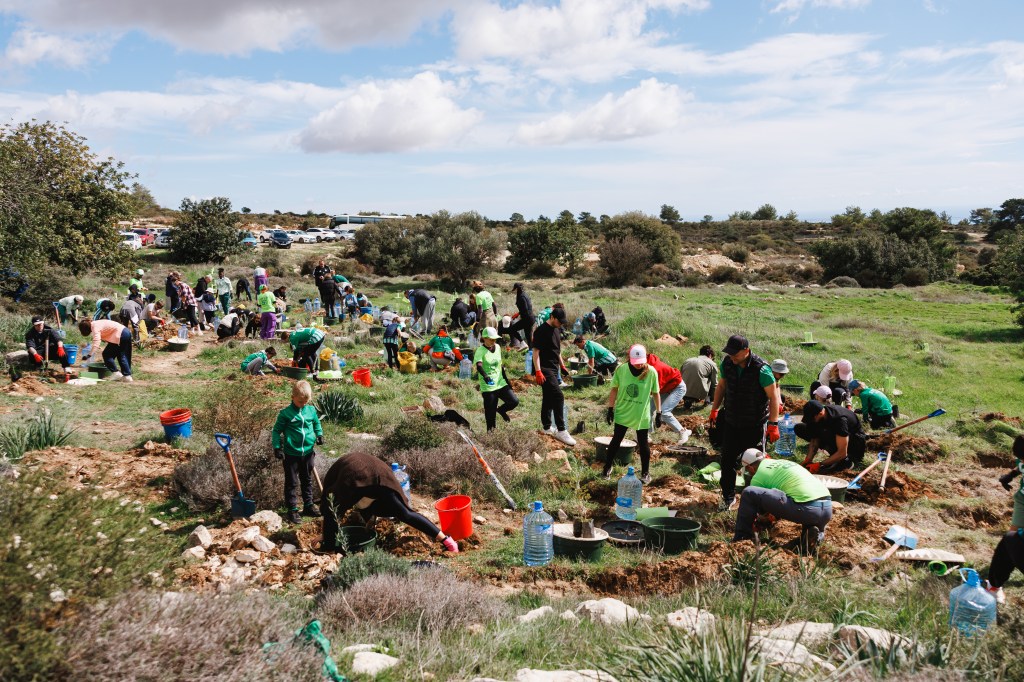 ECOmbare tree planting event