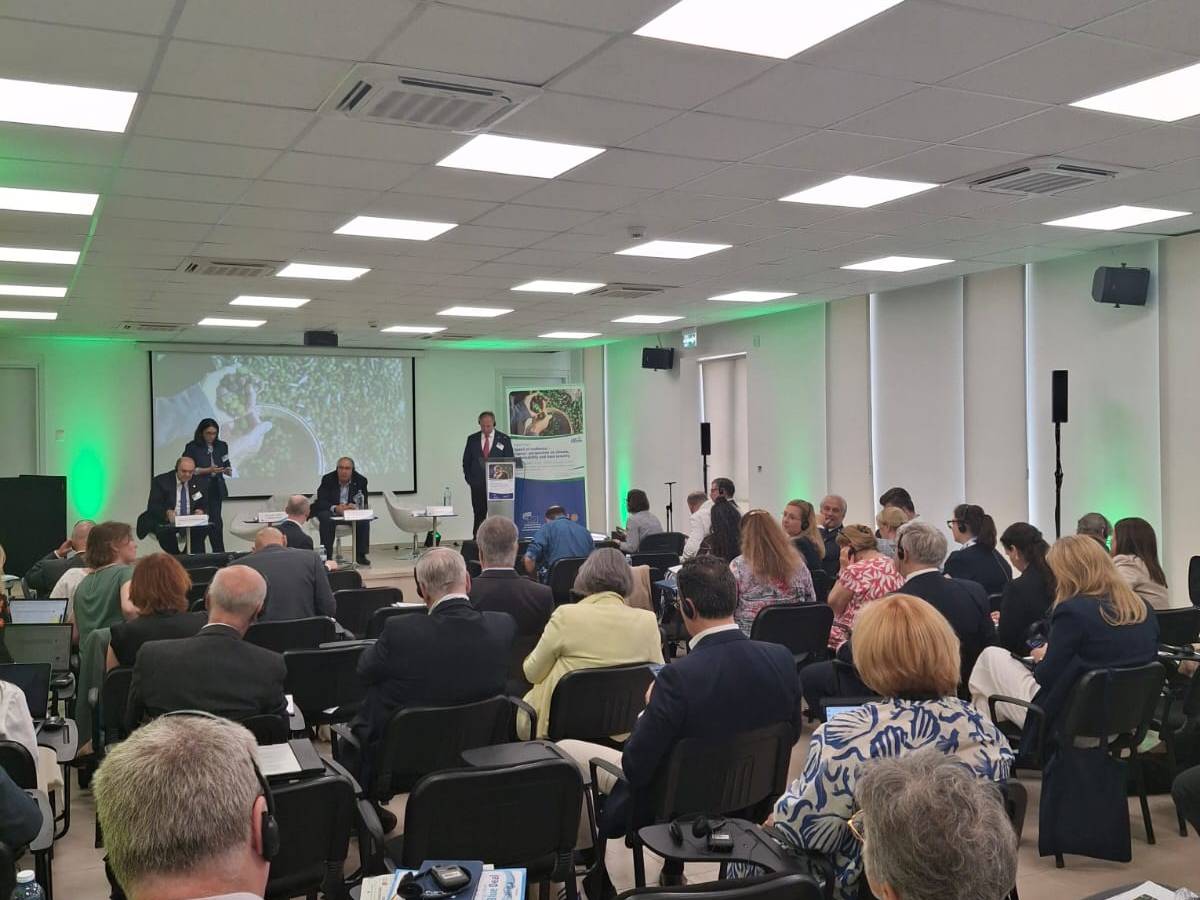 Island of Resilience: Rethinking Water, Food and Climate in&nbsp;Cyprus