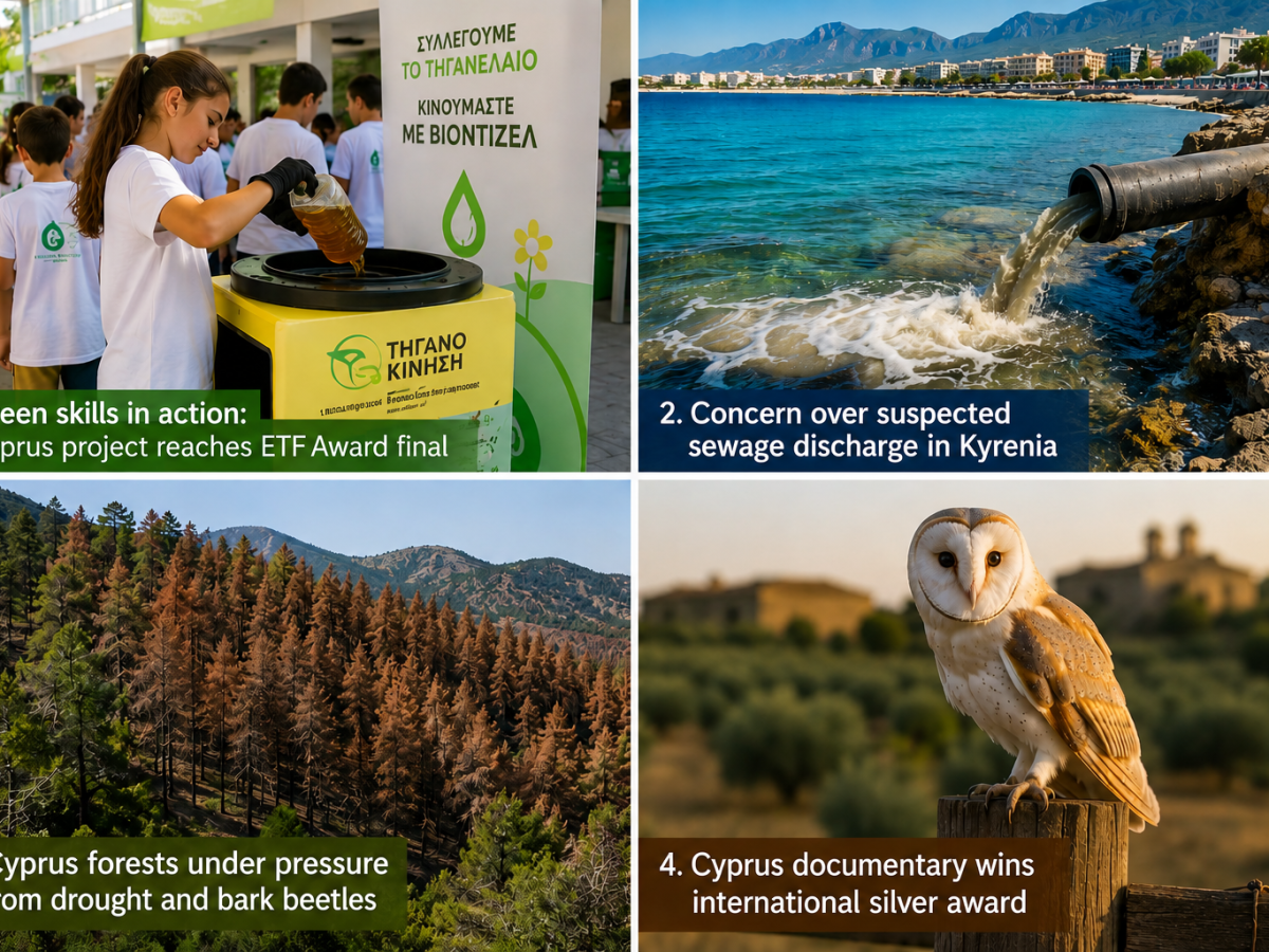Four Stories Around Sustainability That Caught My&nbsp;Eye