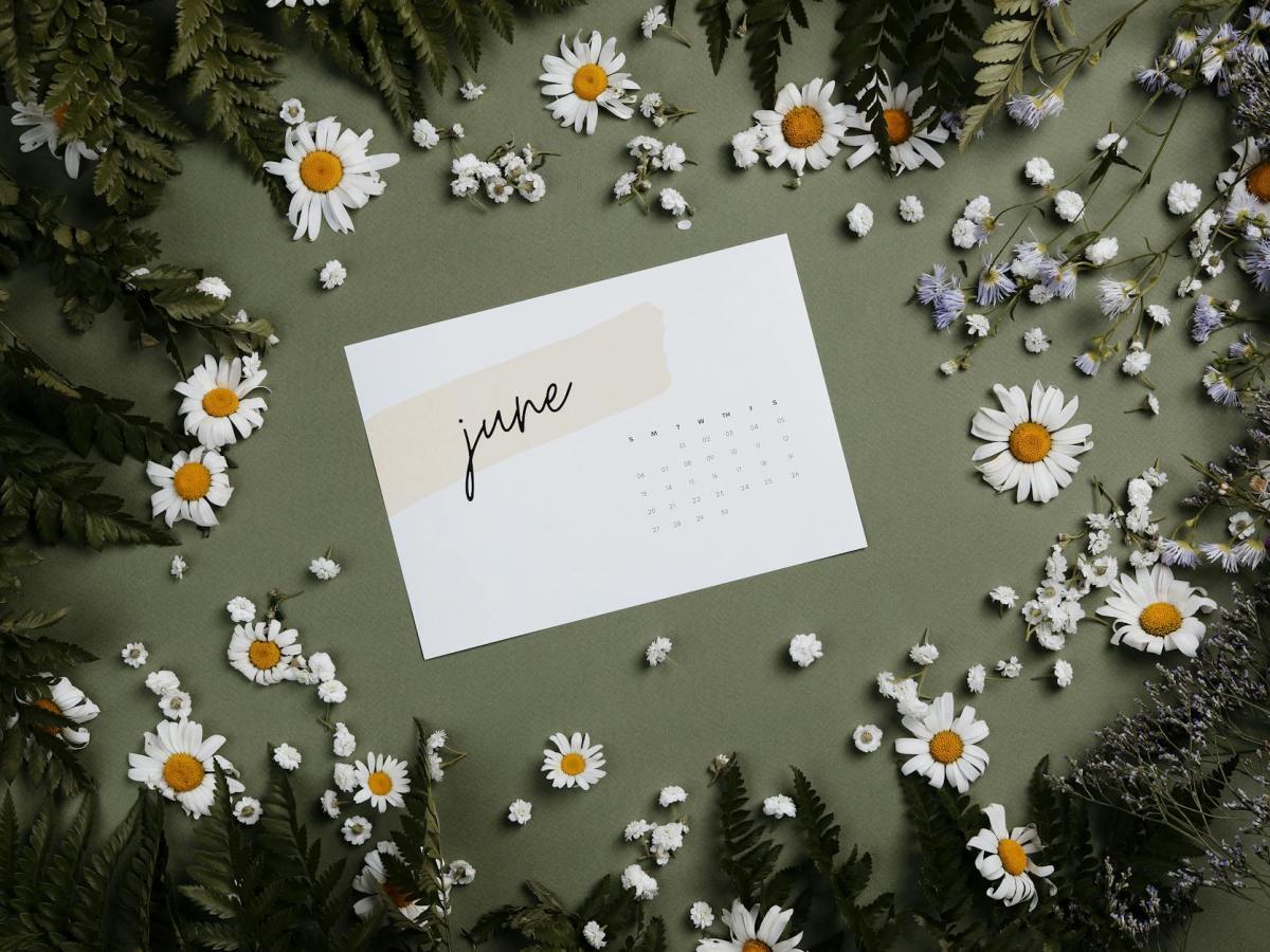 Sustainability Events in Cyprus (June&nbsp;2026)