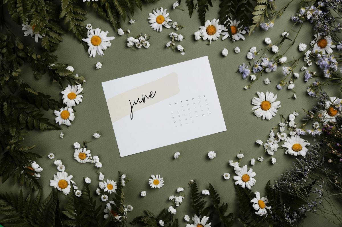 Sustainability Events in Cyprus (June&nbsp;2026)