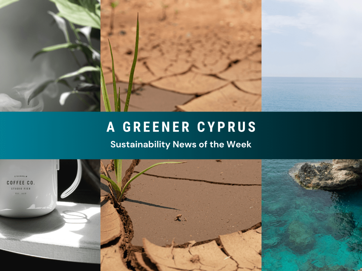 Your Weekly Green Update: What’s Changing in&nbsp;Cyprus