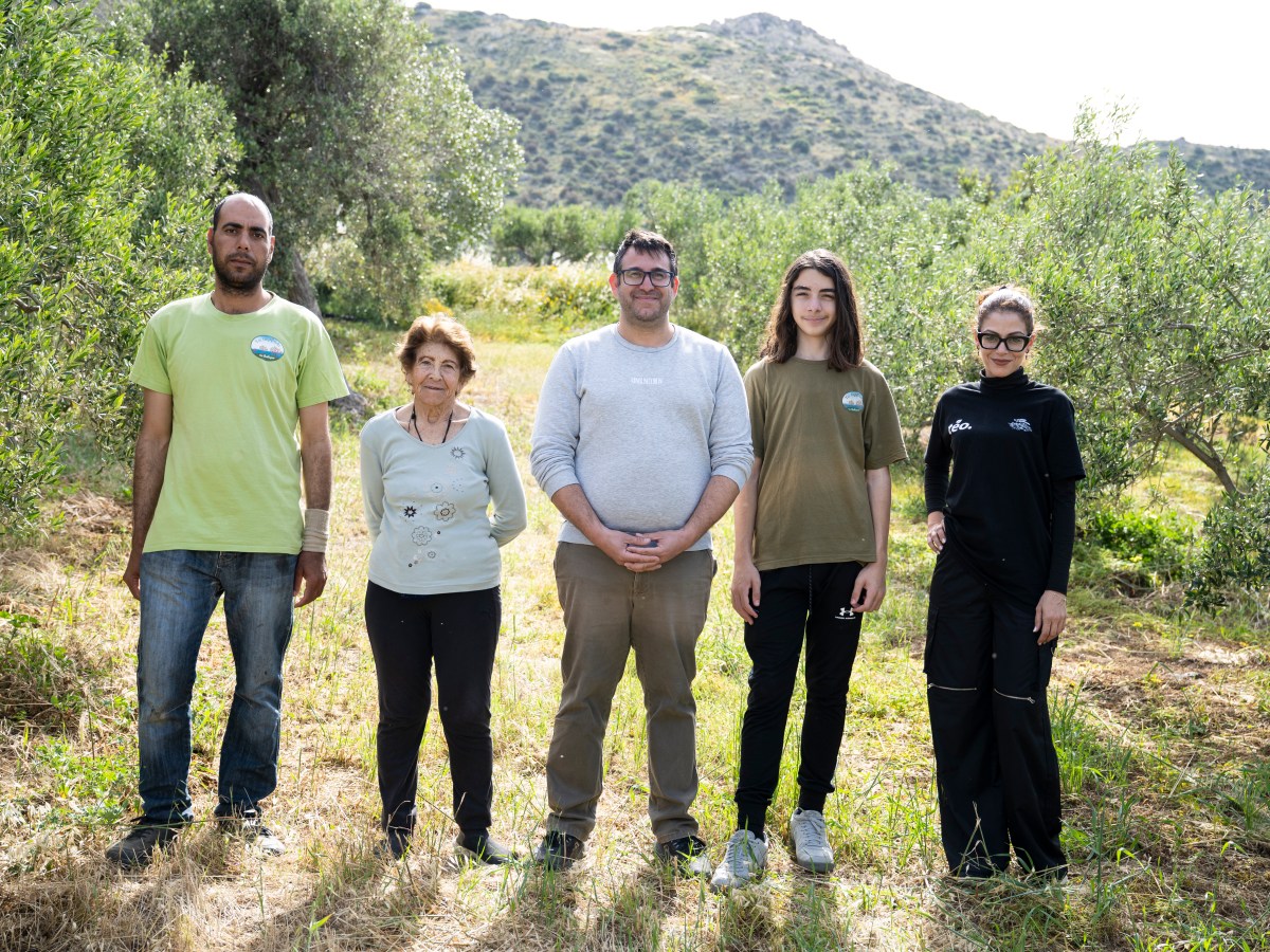 Letting Nature Do the Work: Charis Christoforou on rebuilding Cyprus’s olive groves from the soil&nbsp;up